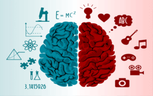 Left Brain vs. Right Brain